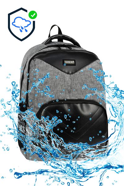 barberri Licensed Waterproof Fabric Unisex School Backpack