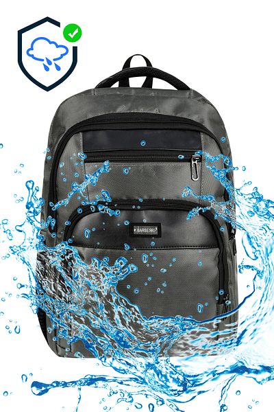 barberri Licensed Waterproof Fabric Unisex School Backpack