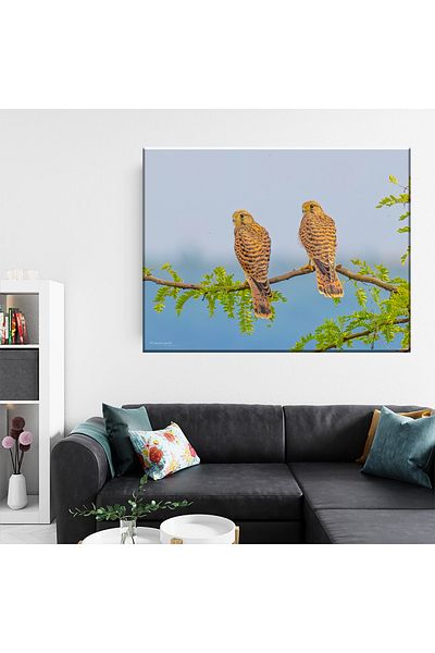 RsStyle Print Canvas Painting - Complicity in Nature – Painting with the Elegance of a Pair of Falcons, 120x80cm