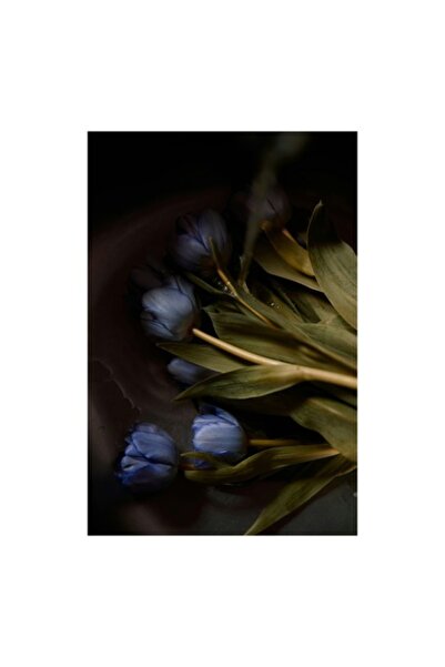 OEM Tablou Canvas, 'Umbrele primaverii in tacere regala', Flori, Lalele, Mov,...