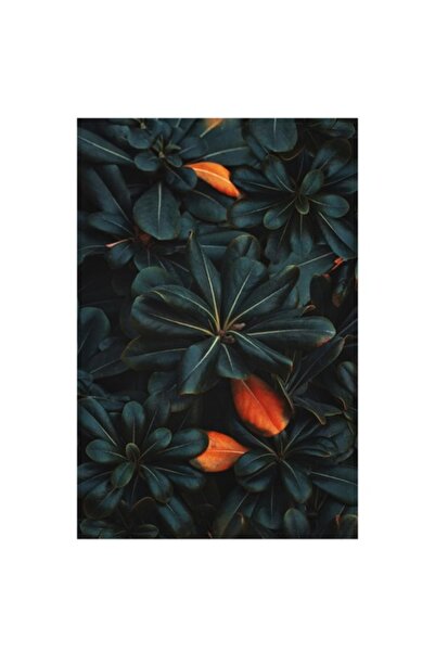 OEM Tablou Canvas, „Frumusețea ascunsă a naturii întunecate”, Frunze, Întunecat, Lucios, Portocaliu, Ascuns, Contrast, Textură