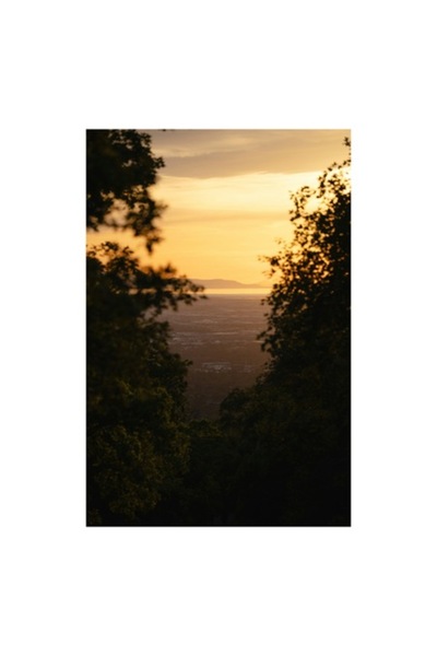 OEM Pictură pe pânză, „Apus de soare printre copaci”, Orizont, Munte, Lumină, 100 x 150cm