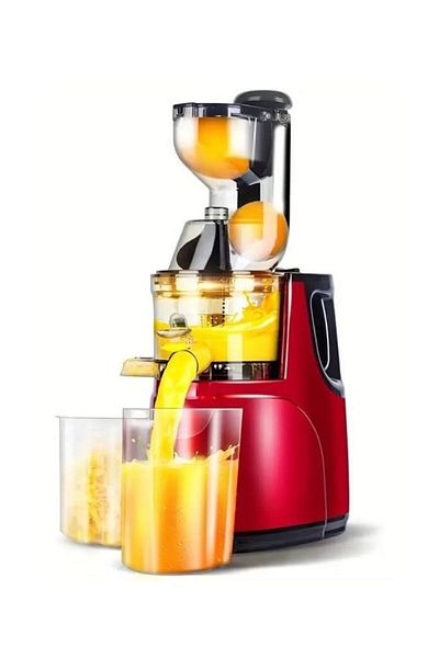 TERRION Multifunctional Juicer Automatic Fruit And Vegetable Juicer, Juice Machine Low-Speed Screw Extruder