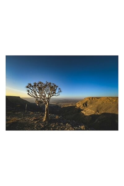 OEM Pictură pe pânză, „Singurătatea copacului în deșertul stâncos”, Peisaj de...