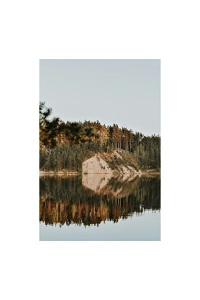 OEM Pictură pe pânză, „Reflecție pe lacul liniștit al pădurii”, 50 x 70 cm