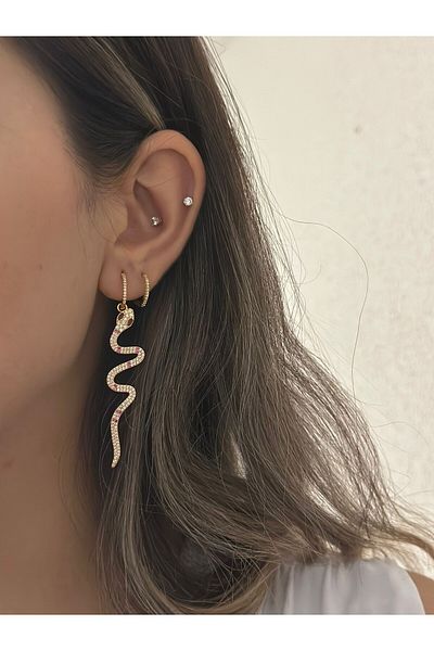 MyladyAccessoriess Pink Zircon Stone Detail Steel Snake Earrings