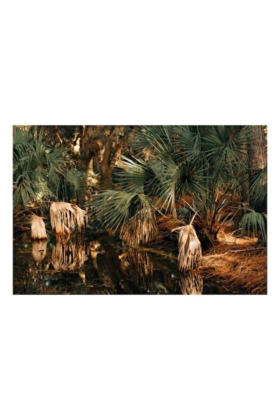 OEM Tablou Canvas, Reflectii in padurea tropicala luxurianta