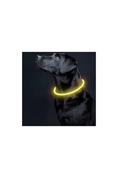 Purlov Zgardă cu lumină LED, reglabilă 20-70 cm, baterie reîncărcabilă USB, 3 moduri de iluminare, buton ON/OFF