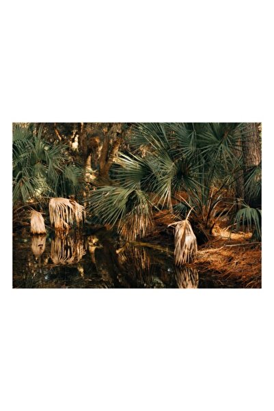 OEM Tablou Canvas, "Reflectii in padurea tropicala luxurianta"