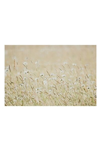 OEM Pictură pe pânză, „Dansul florilor în vânt”, 54 x 39cm