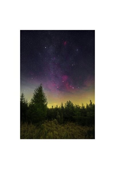 OEM Tablou Canvas, "Cer instelat deasupra padurii nocturne", Stele, Cer, Padure, Lumina, Noapte, Culoare