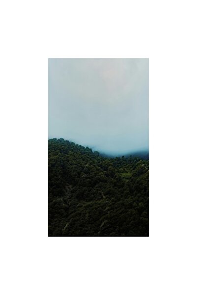 OEM Pictură pe pânză, „Ceața coboară peste pădure”, 50 x 90 cm