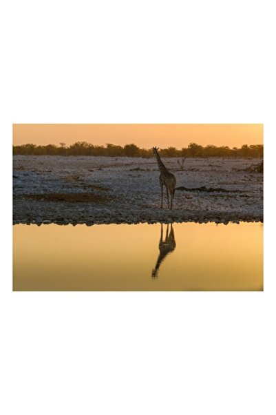 OEM Tablou Canvas, 'Reflexia Serenității'