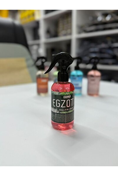 OTO SÜSLEN İSTANBUL Oto Kokusu Egzotik 250 ml