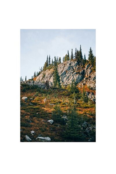 OEM Tablou Canvas, Toamna pe culmile stancoase ale muntelui, Roci, Brazi, Cer...