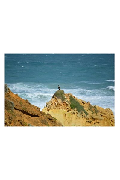 OEM Tablou Canvas, "Privind marea de pe stanca", 150 x 100cm