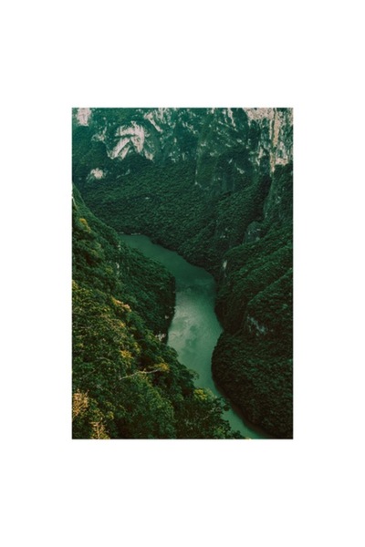 OEM Tablou Canvas, "Cheile Sinuoase ale Padurii Verde", 70 x 100cm