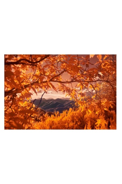 OEM Tablou Canvas, "Peisaj de toamna transilvaneana", Frunzis, Munte, Cer, Peisaj, Toamna, Lumina, Ferig