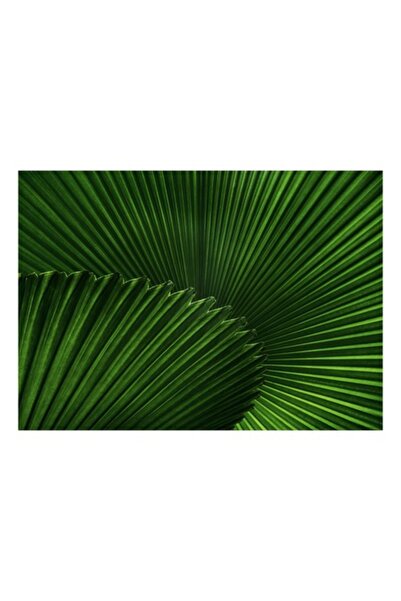 OEM Tablou Canvas, "Vibranta simfonie a frunzelor verzi", Frunze, Verde, Text...