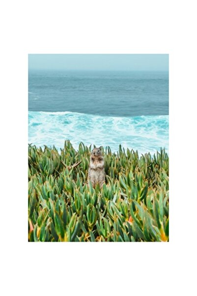 OEM Pictură pe pânză, „Veveriță explorând orizontul marin”, 26 x 39 cm