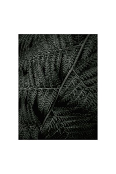 OEM Tablou Canvas, "Frunze de feriga in intuneric profund", Frunzis, Verde, T...