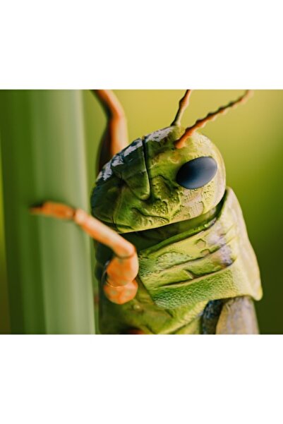 OEM Pictură pe pânză, „Lăcustă în prim-plan verde vibrant”, 150 x 100cm