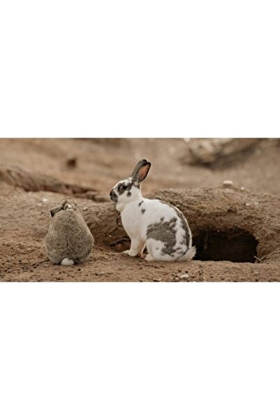 OEM Tablou Canvas, "Iepurasi in asteptarea primaverii calde", 90 x 50cm