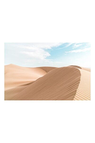 OEM Pictură pe pânză, „Vânturi șoptitoare peste Dunăre”, Nisip, Dună, Cer, Al...