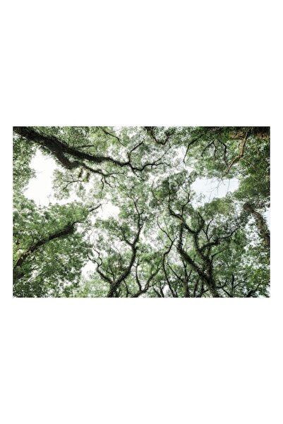 OEM Pictură pe pânză, „Cramuri verzi în lumină blândă”, 90 x 50cm