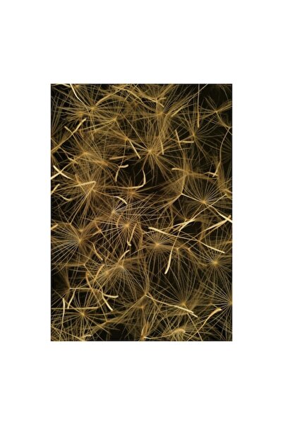 OEM Tablou Canvas Premium "Dansul Naturii"