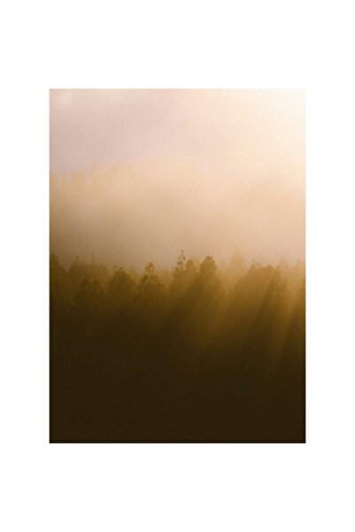 OEM Pictură pe pânză, „Lumina soarelui în pădurea încețoșată”, 39 x 54 cm