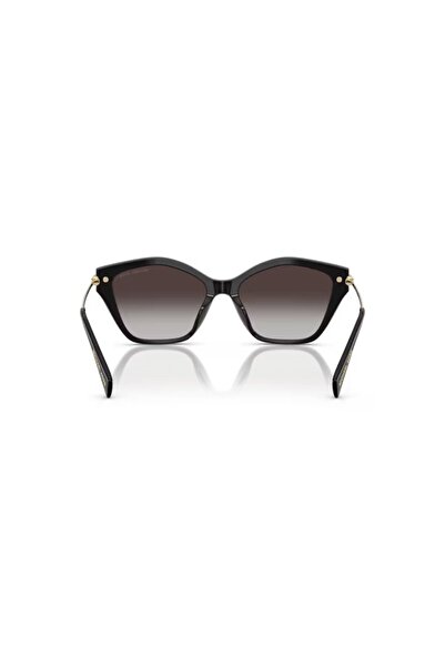 Michael Kors Women Cat Eye Catskills Sunglasses- Mk 2246u - Lense Size:52mm - Black