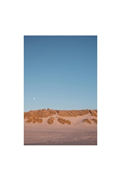 OEM Tablou Canvas, "Dune de nisip sub clar de luna", 50 x 70cm