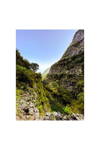 OEM Pictură pe pânză „Calea dintre stâncile verzi ale munților”, Natură, Munți, Vegetație, Stânci, Pa