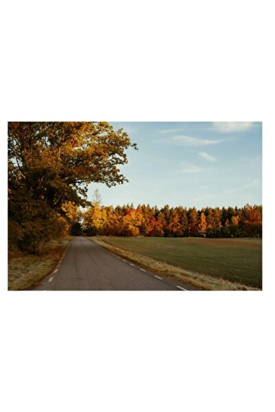 OEM Tablou Canvas, "Drumul tacut al toamnei aurii", 100 x 100cm