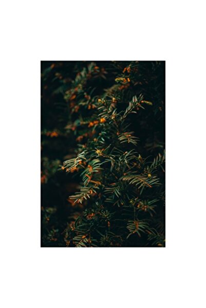 OEM Pictură pe pânză „Frumusețea ascunsă a naturii verzi”, Frunze, Verde, Tex...