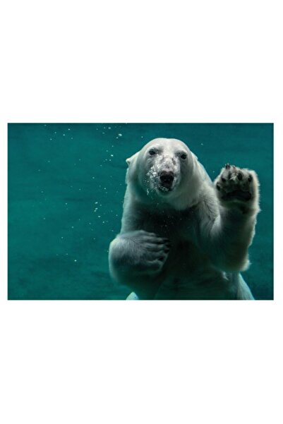 OEM Tablou Canvas, 'Urs polar în adâncurile oceanului rece'