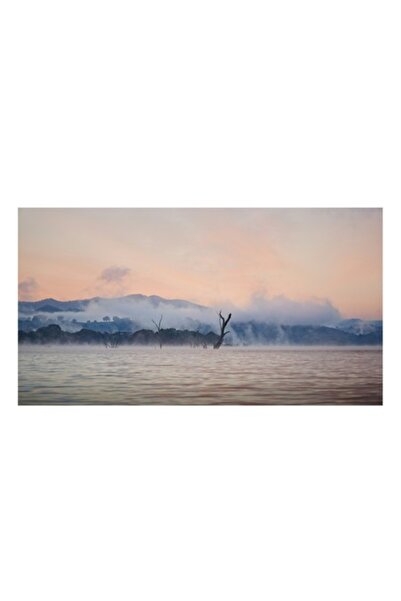 OEM Pictură pe pânză, „Copaci singuratici în ceața dimineții”, Apă, Ceață, Copaci, Munți, Răsărit de soare, Nor, Reflex