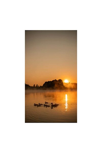 OEM Tablou Canvas, 'Rasarit linistit peste lac cu rate', 100 x 100cm