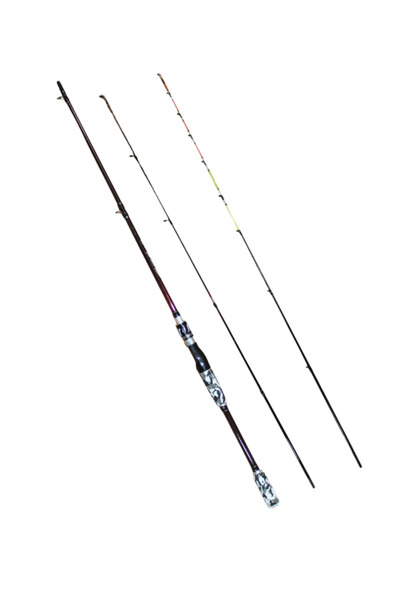 balikavdunyasi Balza Shanghai 210cm 2 Uçlu 10-40 Ve 1-10 Aksiyonlu Spin Kamış