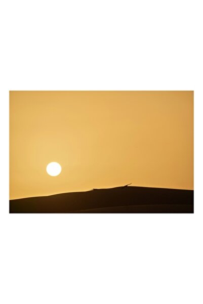 OEM Tablou Canvas, "Apus de soare peste nisipuri aurii", 39 x 26cm