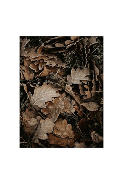 OEM Tablou pânză, „Frunze de toamnă pe pământ rece”, Frunze, Toamnă, Textură, Natură, 70 x 100cm