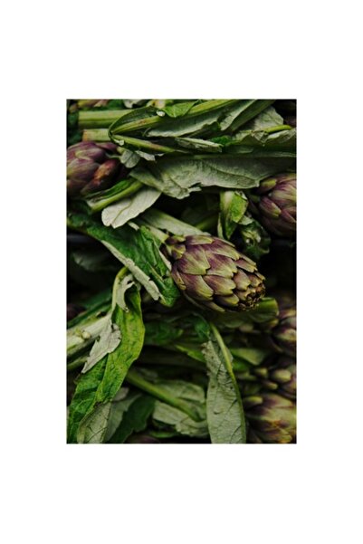 OEM Tablou Canvas, "Anghinare proaspete in gradina de vara", 100 x 100cm