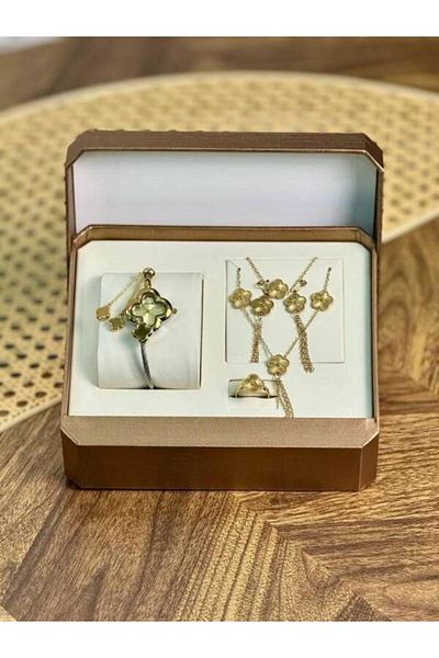 Generic Women's accessories set