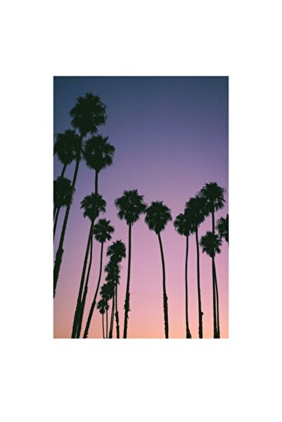 OEM Tablou Canvas, "Apus cu palmieri sub cer radiant", 100 x 100cm