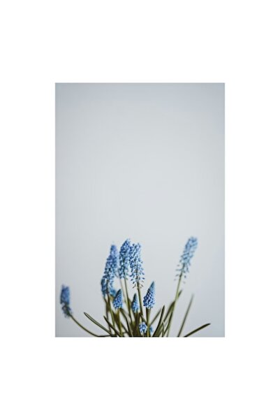 OEM Tablou Canvas, "Flori albastre in linistea primaverii", 26 x 39cm