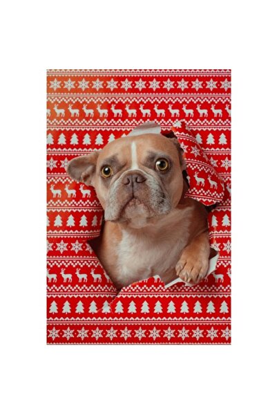 OEM Tablou Canvas, "Bulldog surpriza de Craciun", 50 x 70cm