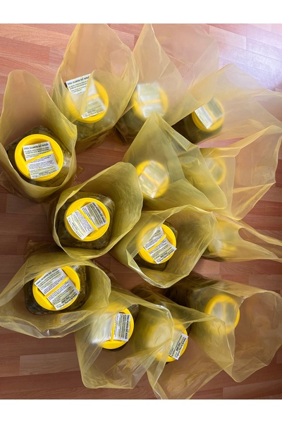 erbaa mis yaprak TOKAT ERBAA yeni sezon Salamura yaprağı mayıs uc yaprakları 3 kilo