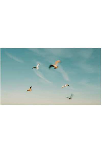 OEM Tablou Canvas, 'Pasari plutind spre orizontul senin', 100 x 70cm