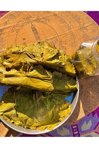 erbaa mis yaprak TOKAT ERBAA yeni sezon Salamura yaprağı mayıs uc yaprakları 3 kilo